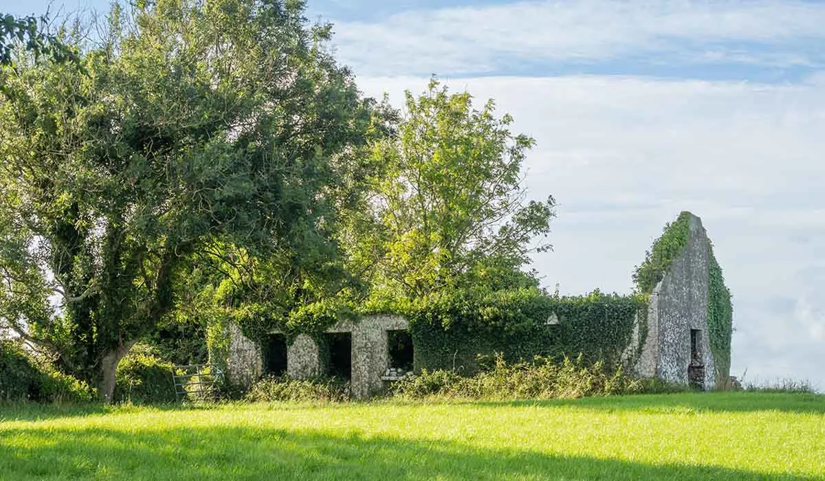 Photo of a ruined abandoned property for sale