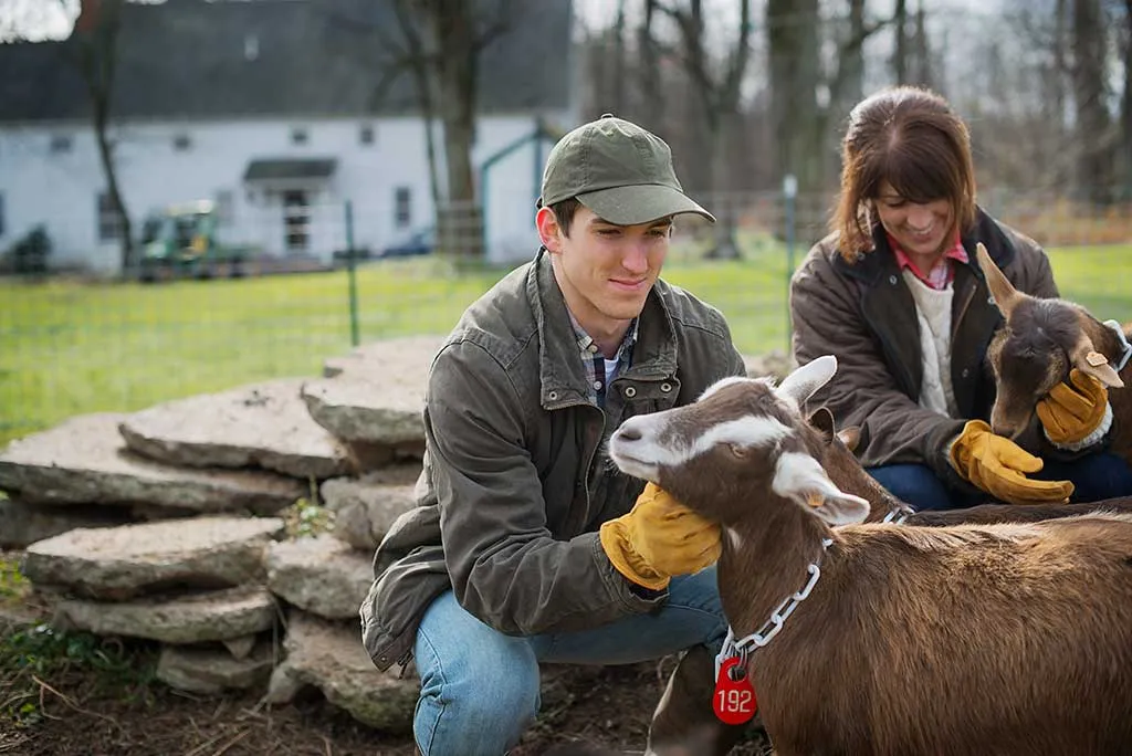 Photo of a couple farming on their small holding in Wales