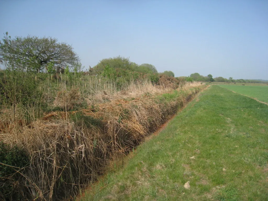 Image of some cheap agricultural land for sale in England