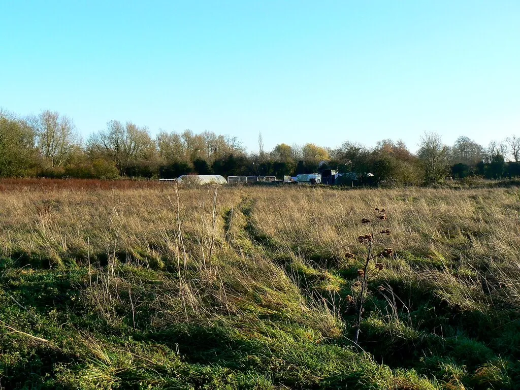 Image of some cheap land in the UK which sold for £5000