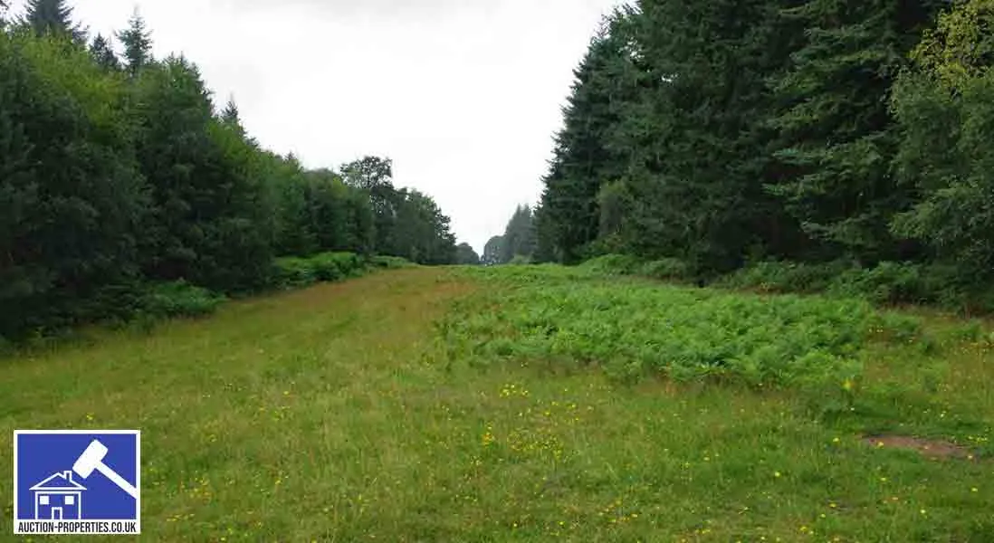 Photo of commercial woodland for sale