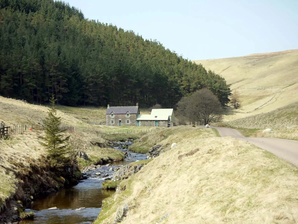 Photo of a country cottage with land for sale.