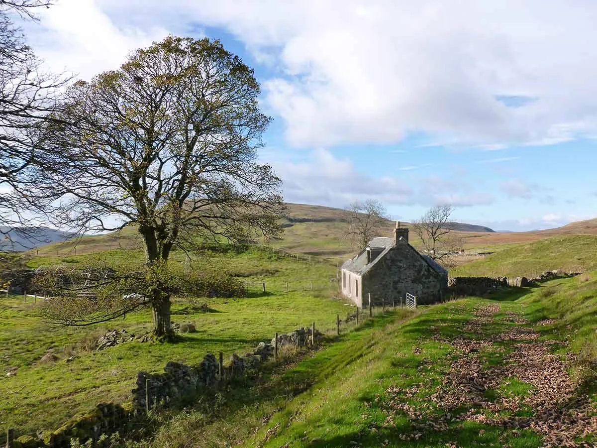 Photo showing a remote derelict cottage for sale.
