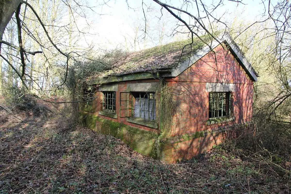 Photo of a derelict house in the woods.
