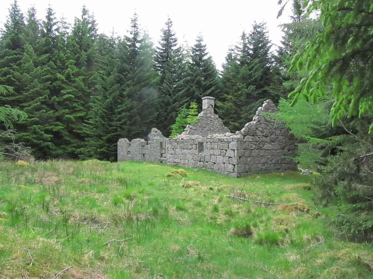 Photo of an empty run down property in the forest.