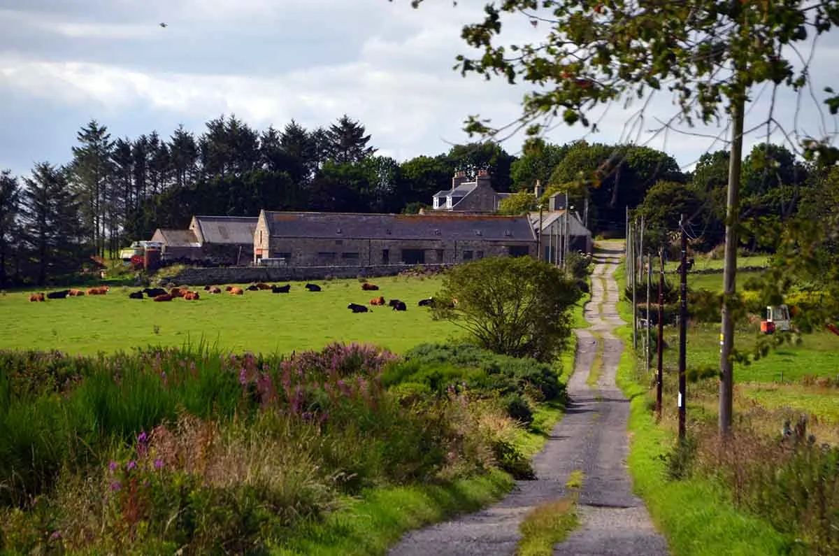 Farms For Sale In Scotland: Buying A Farm