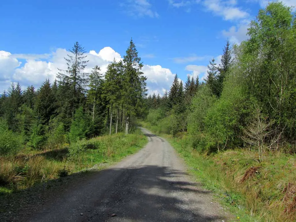 Forest land for sale in the highlands of Scotland