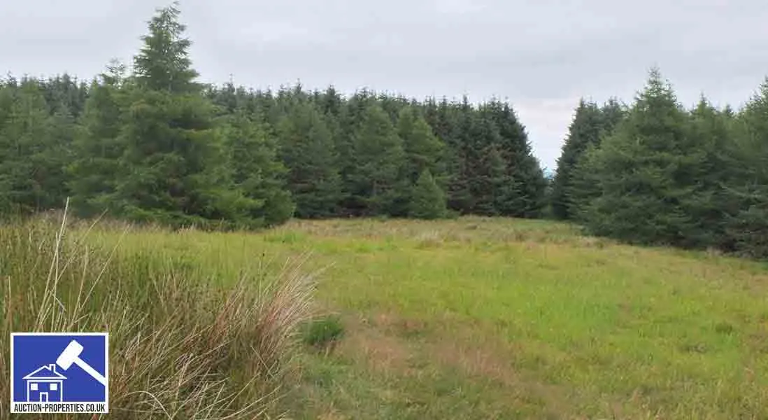 Image showing forestry commission land in the UK