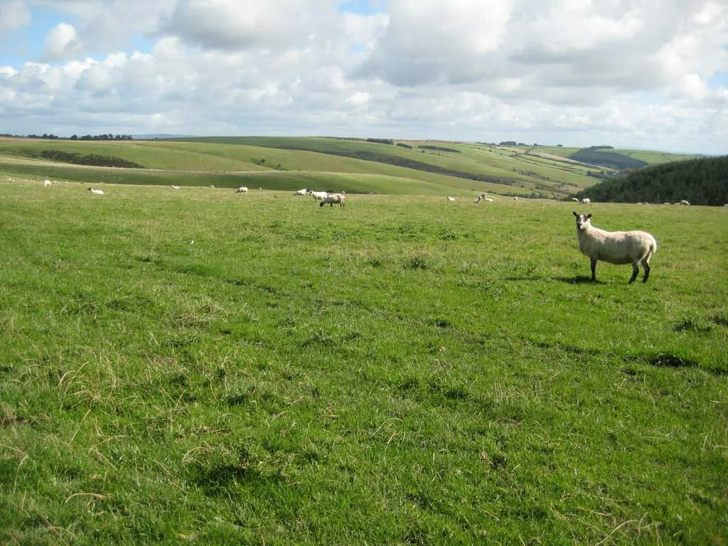 Photo of grazing land for sale in the UK. Photo © Philip Halling (cc-by-sa/2.0)