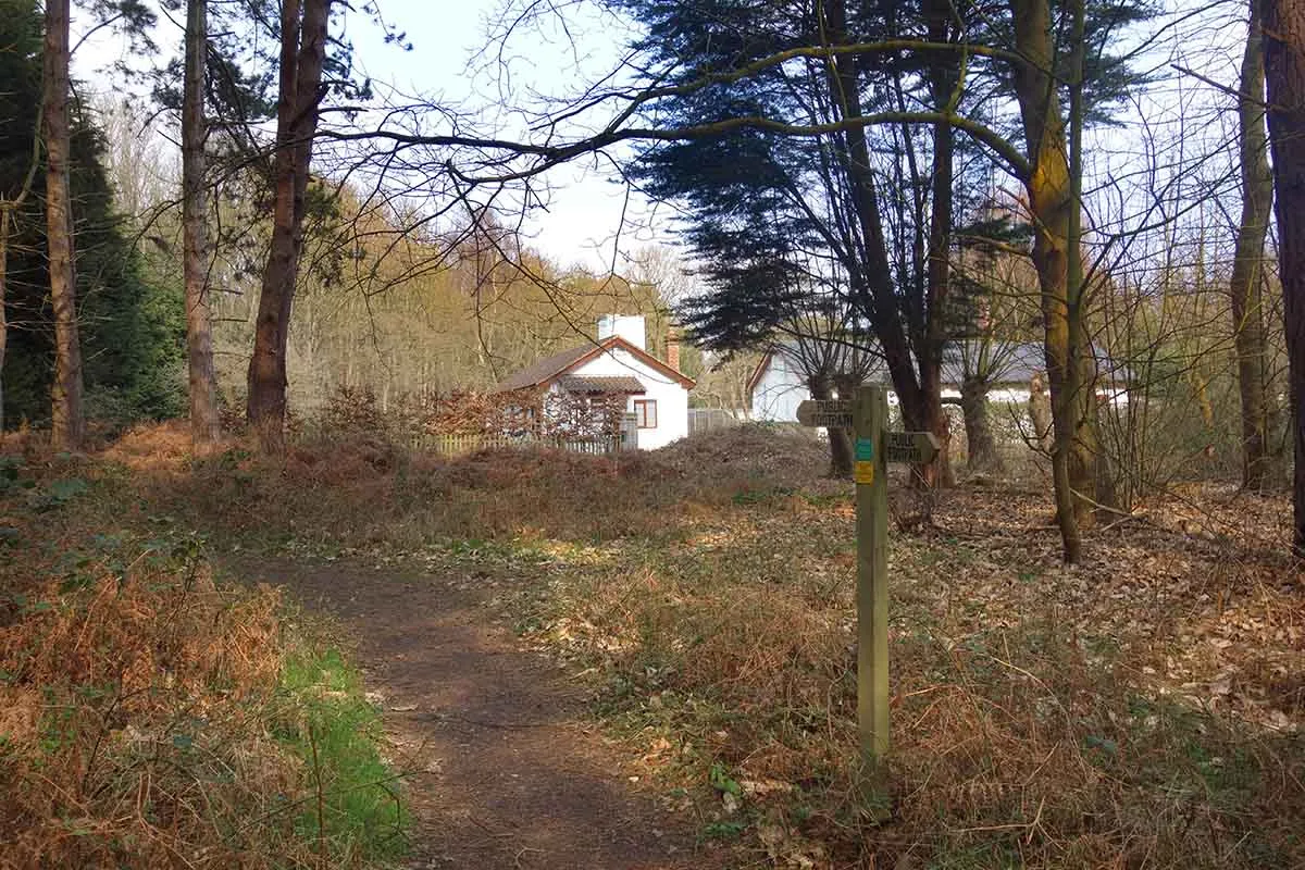 Photo showing what can happen if you build a house in the woods.