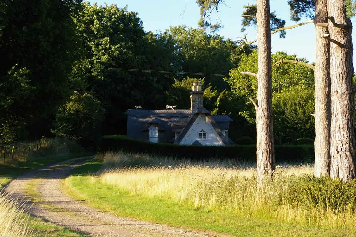 Photo showing rural house in woodland for sale