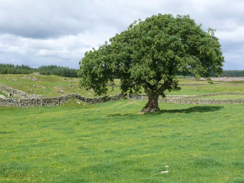 Land Auctions In The UK