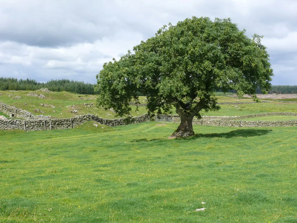 Land Auctions In The UK