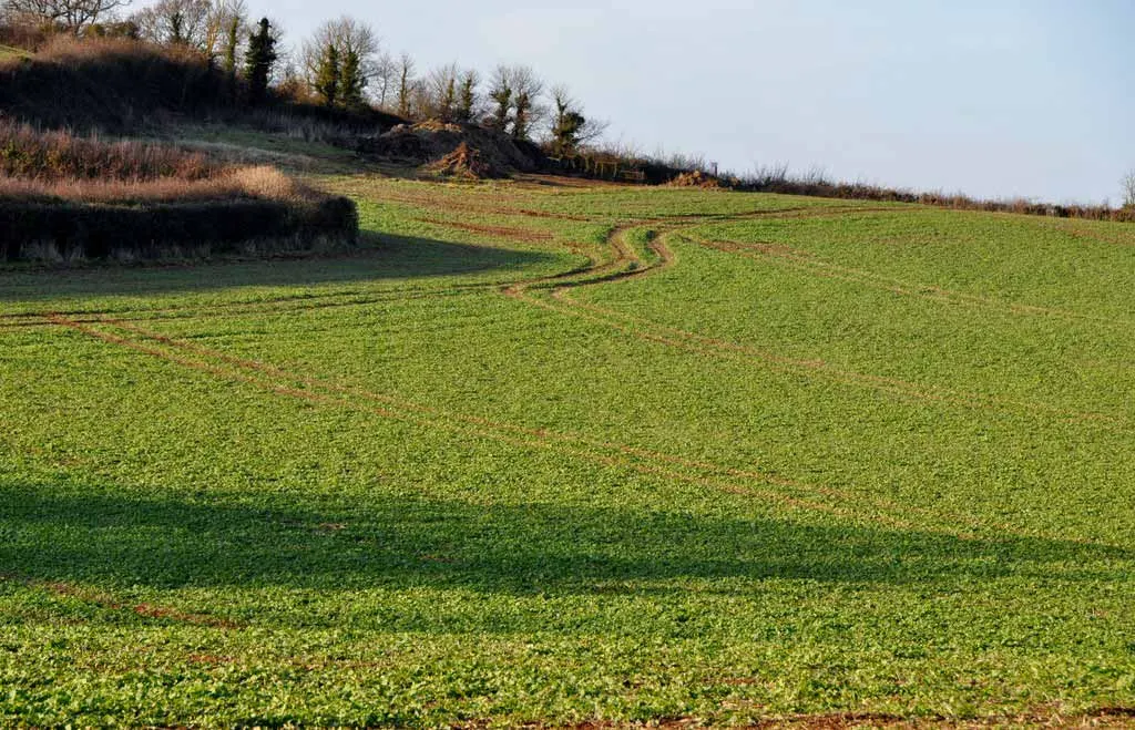 Land For Sale In Devon