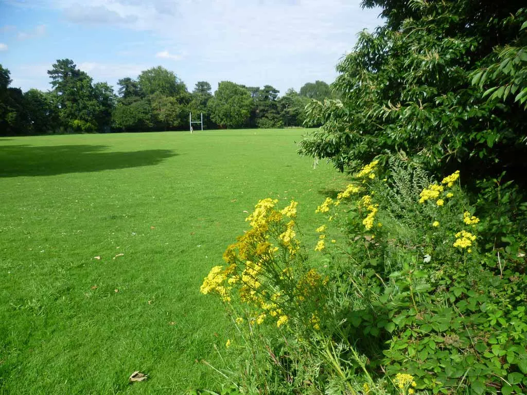 Image showing land for sale in Kent, England