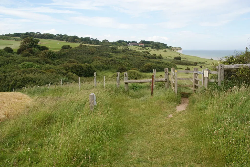 Picture of some land for sale by auction