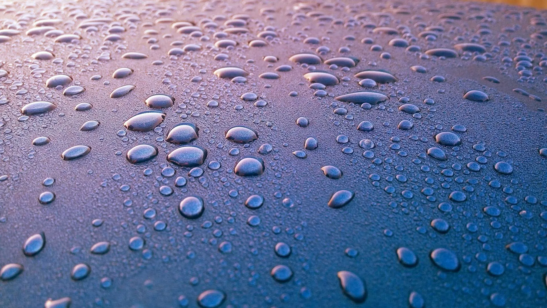 How to Spot Hidden Signs of Moisture Issues in Your Property