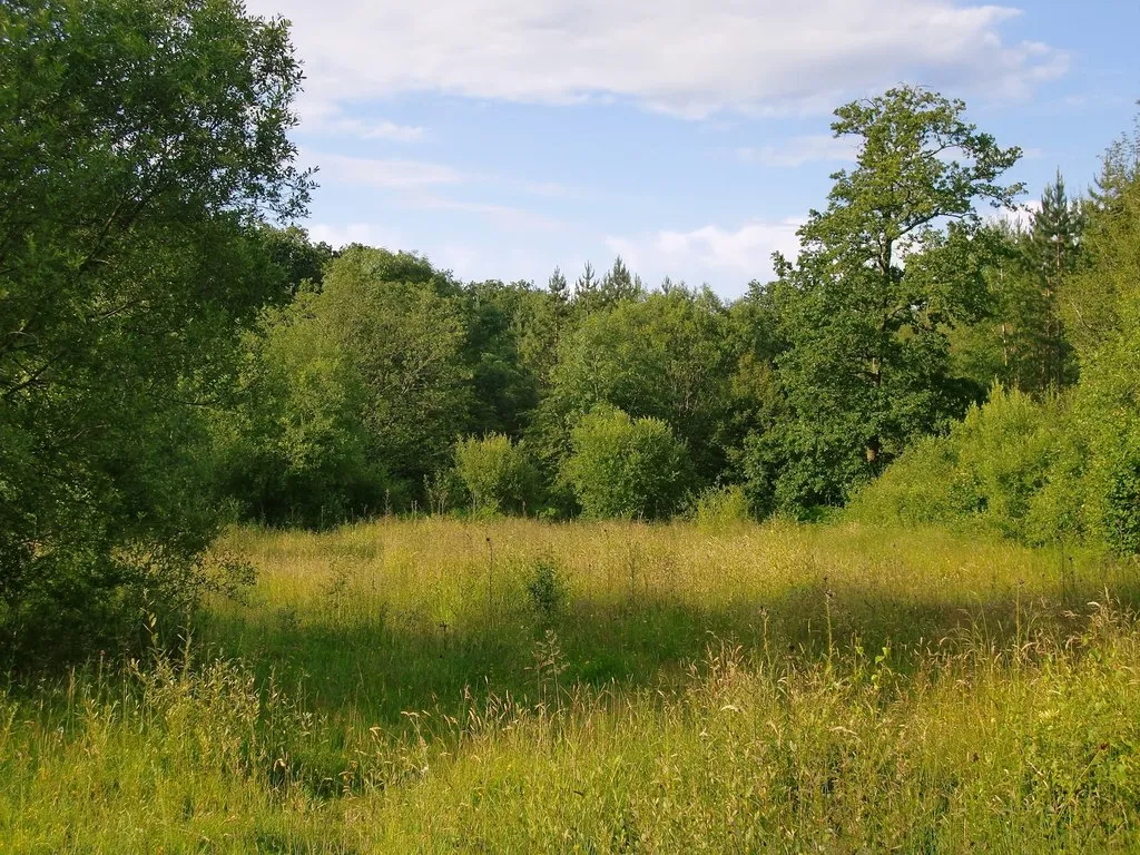 Photo of some remote land in the UK