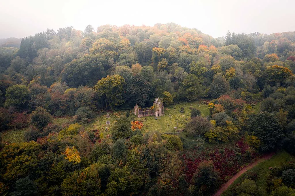 Photo of a remote smallholding in Wales surrounded by forest.