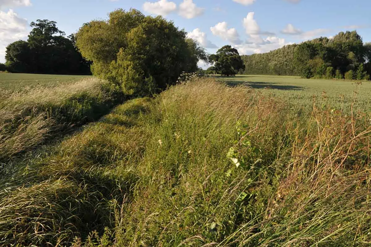 Photo showing rented farm land in the UK