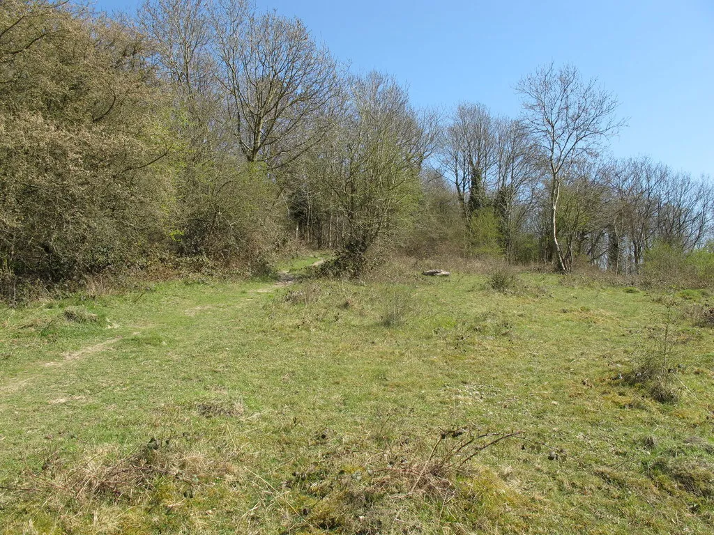 Image of some rural land for sale for £10,000