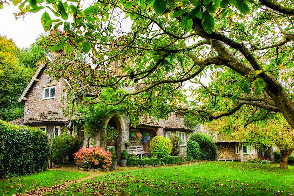 Photo of a rural retreat in England surrounded by forest.