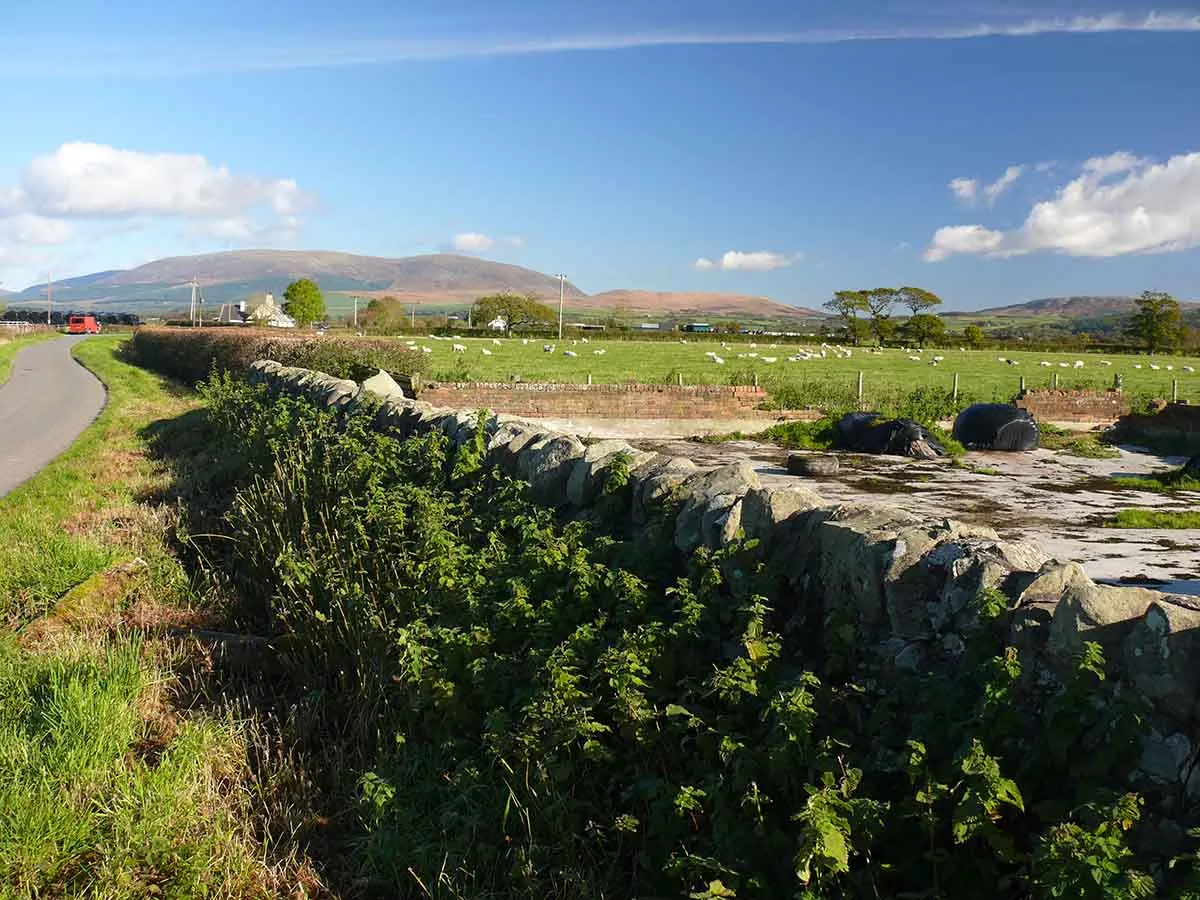 Photo showing a sheep farm in Scotland
