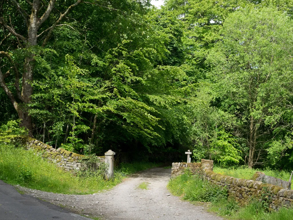 Image of a small woodland for sale in the UK