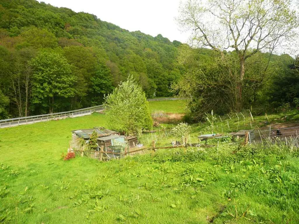 Photo of a smallholding in Scotland for sale.