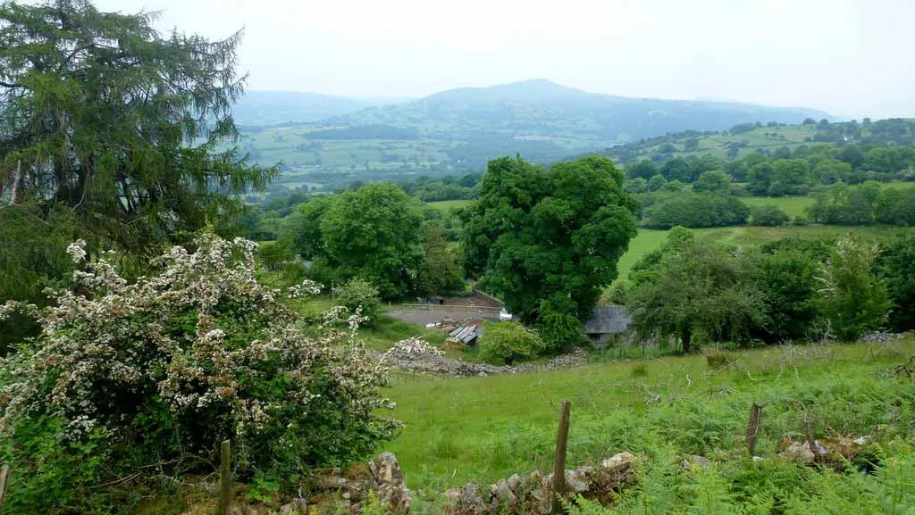 Photo of a smallholding in Wales.