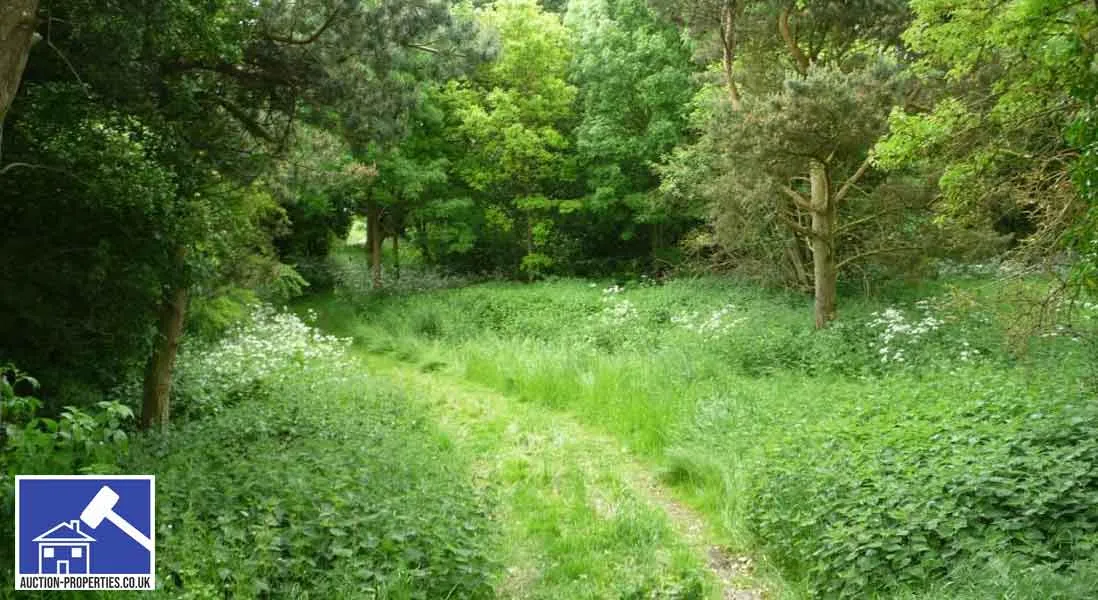 Image showing woodland for sale in the UK