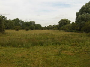 Image of some cheap land for sale in the UK