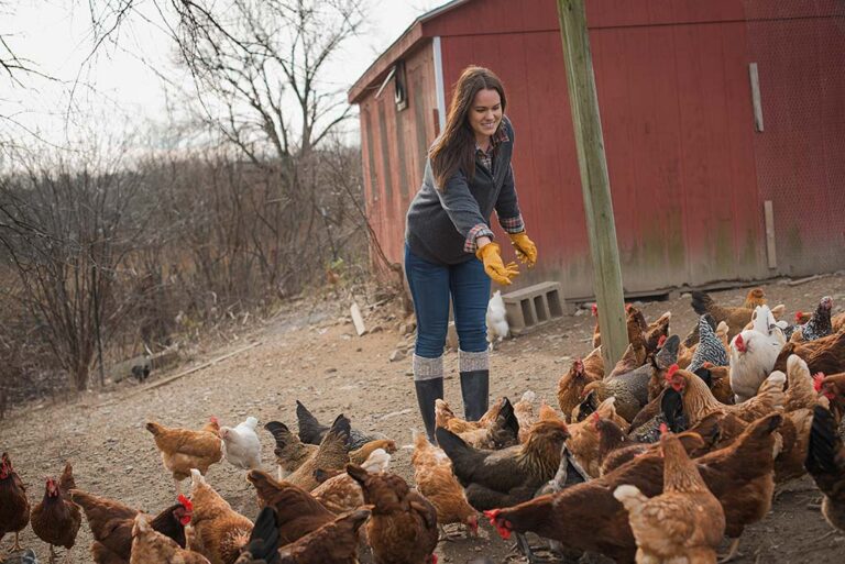 Photo of a woman feeding hens on a smallholding in Wales