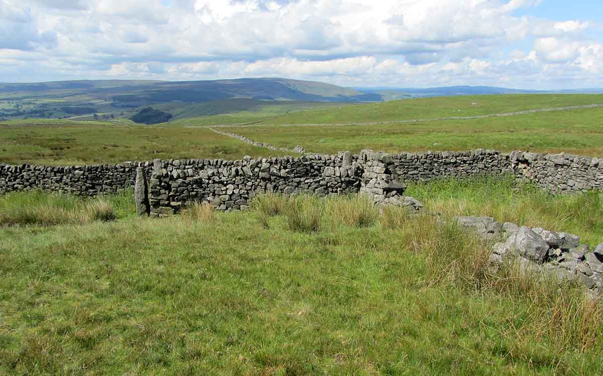 Photo of some land which could be claimed by adverse possession.