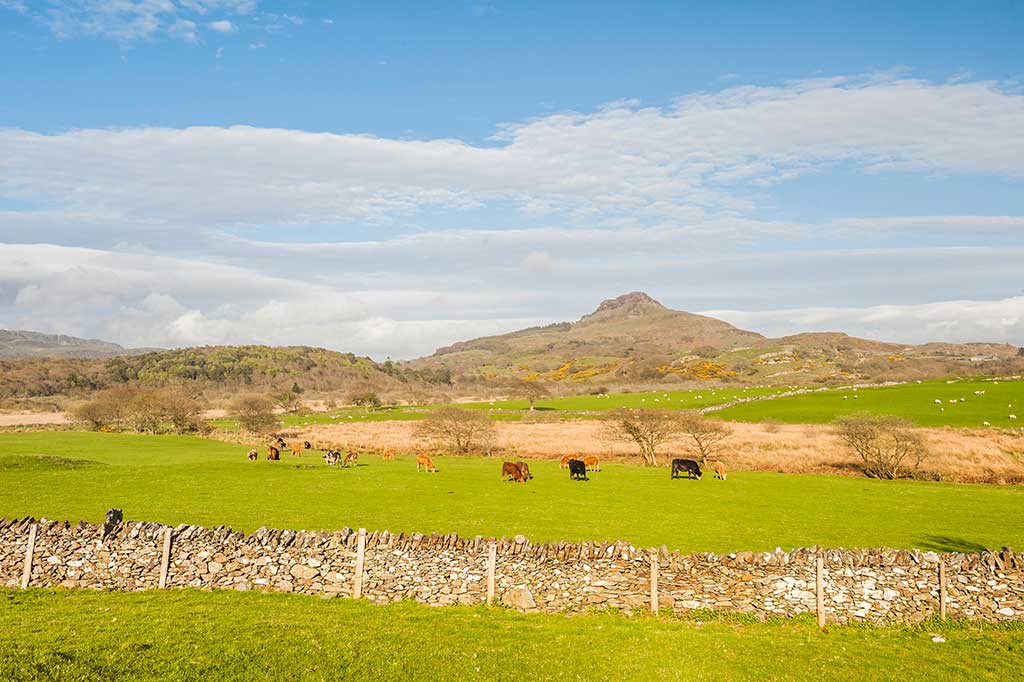 Photo of farm land in Snowdonia, Wales
