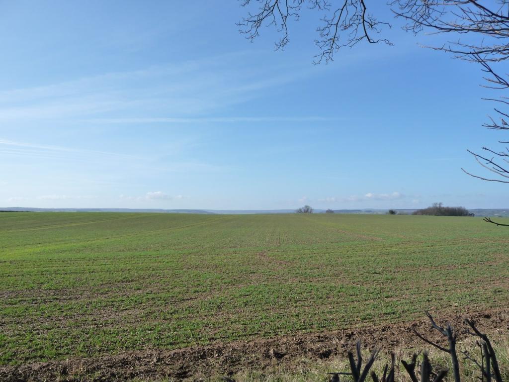 Photo of some farmland for sale in the UK