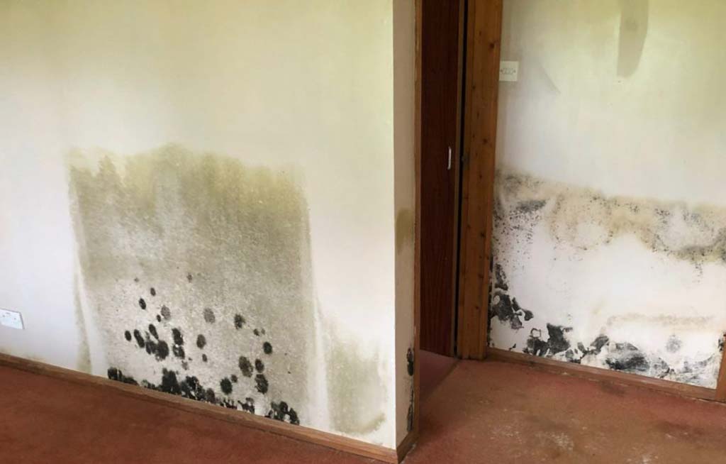 Image showing a problem with damp on walls