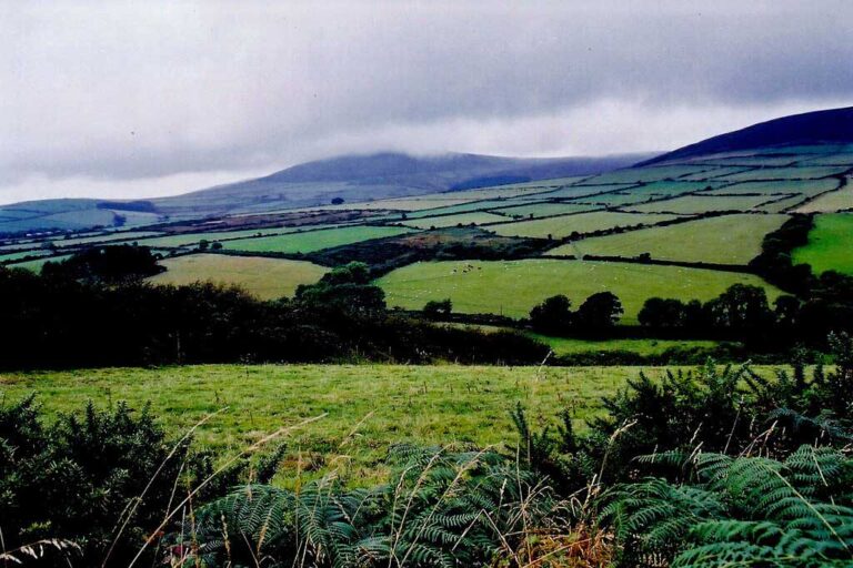 Photo of grazing land for animals in the UK