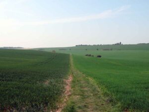 Land for sale in Kent, England. Photo © David Anstiss (cc-by-sa/2.0)