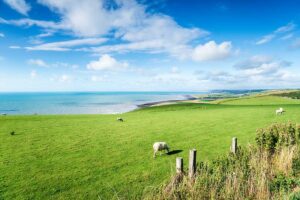 Photo of some arable land for sale in South Wales