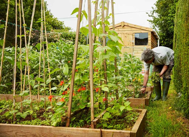 How Big A Garden Shed Without Planning Permission